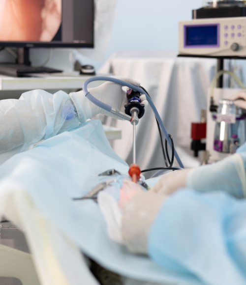 Gastroenterology and Endoscopy Department